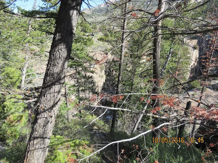 Owen Creek Campground Picture 6