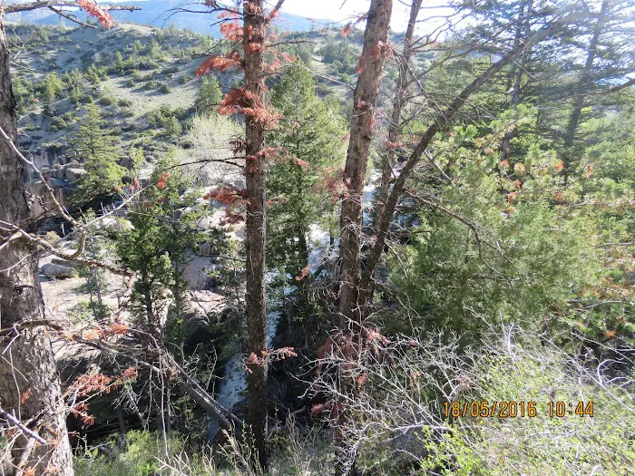 Owen Creek Campground Picture 8