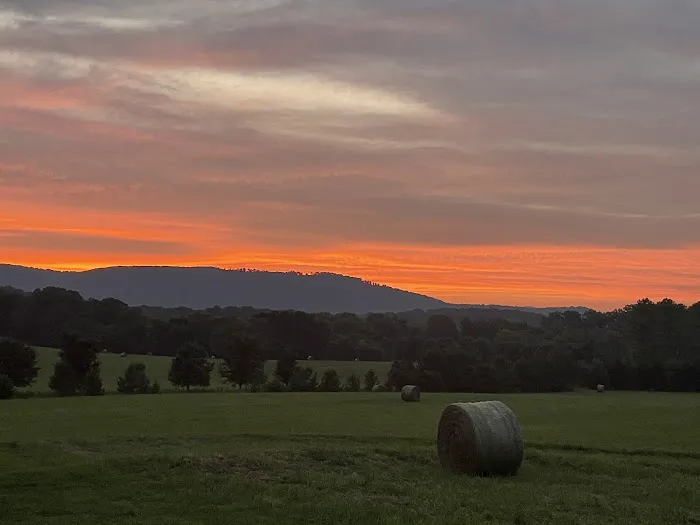 Cloudbase RV Park Picture 7