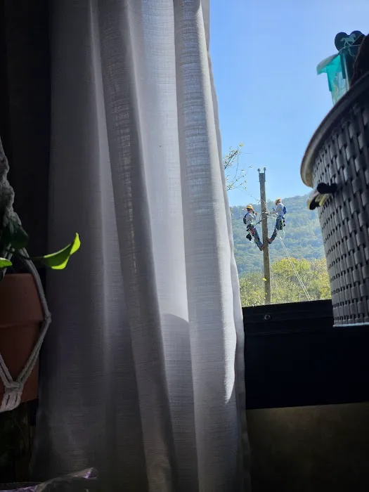 Lineman RV Park Picture 6