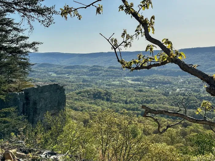 Spectacular Sunrise RV Park & Campground Picture 4