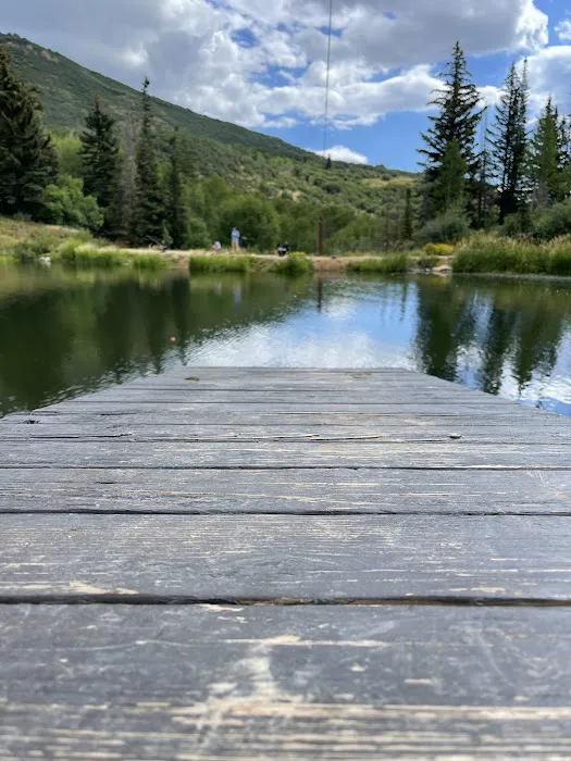 Brighton Meadows Recreation Camp Picture 9