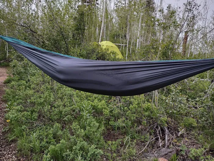 Brighton Meadows Recreation Camp Picture 2