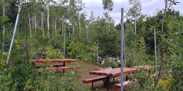 Murray South Mountain Camp/Friendship Meadows Picture 2