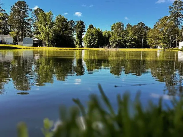 Camp Everett Picture 2