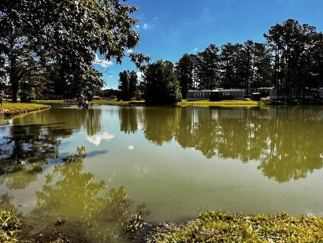 Camp Everett Picture 9