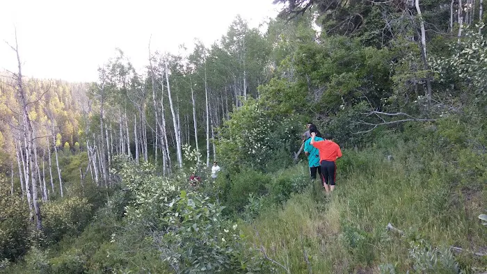 Camp Everett Picture 11