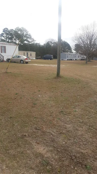 Plantation acres Picture 6