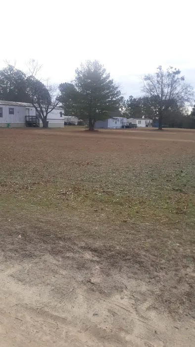 Plantation acres Picture 7