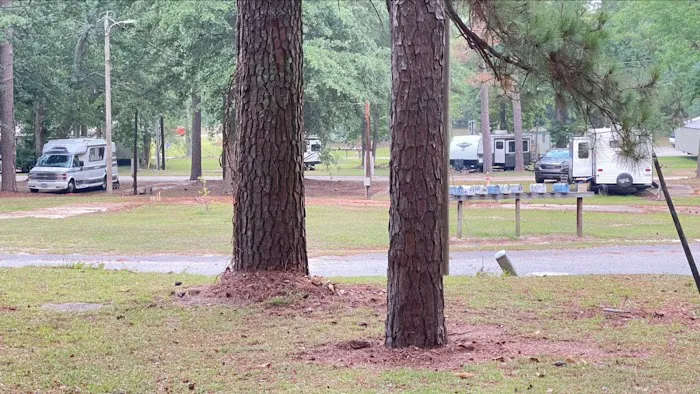 Home Carolina Mobile Court RV Park Sumter sc Picture 2