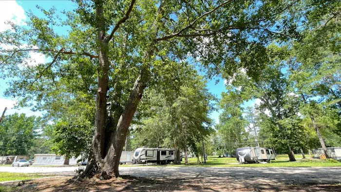 Home Carolina Mobile Court RV Park Sumter sc Picture 4