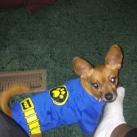 Stateburg Mobile Home Park ico