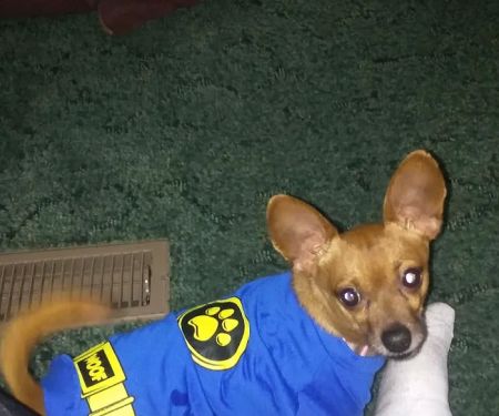 Stateburg Mobile Home Park