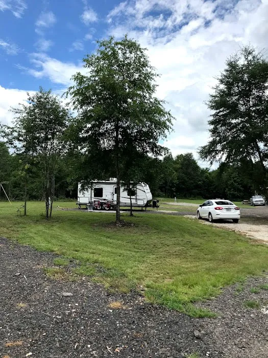 Local 215 RV Park Picture 3