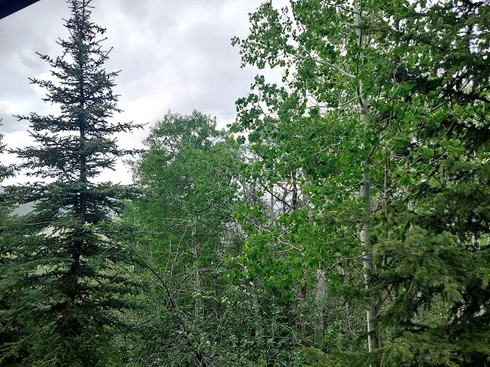 Snydermill Lodge Picture 7