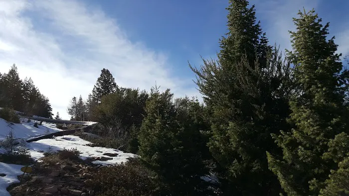 Snydermill Lodge Picture 4