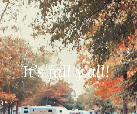 Made in the Shade RV Park and Campground