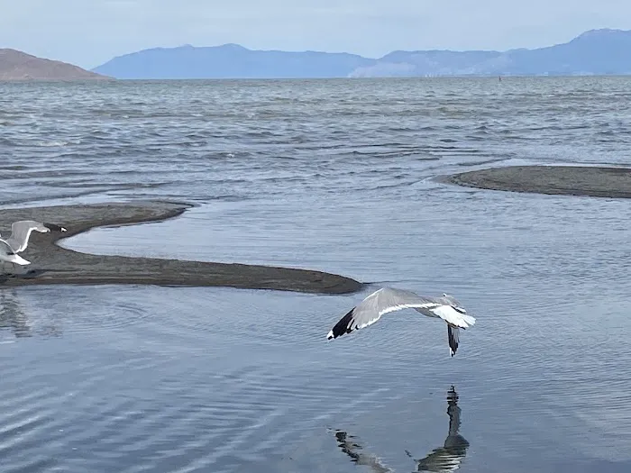 Great Salt Lake Campground Picture 2
