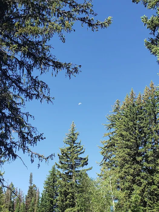 Jordan Pines Group Campground Picture 8