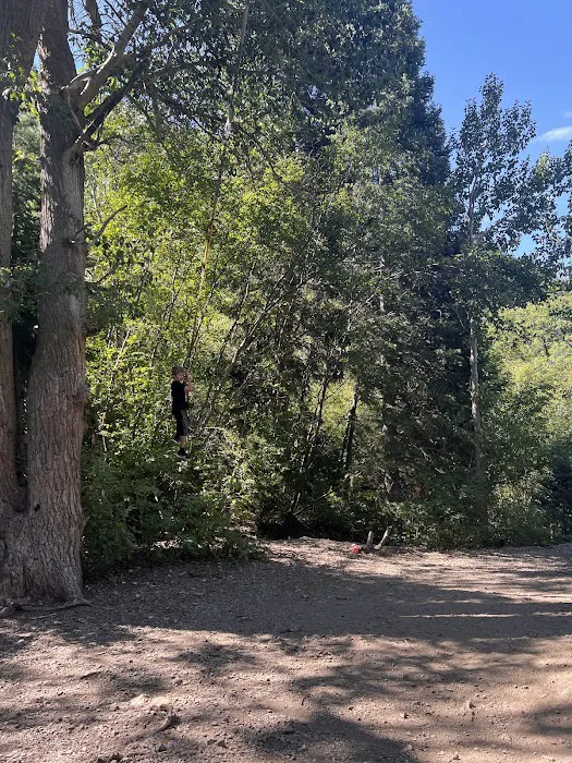 Jordan Pines Group Campground Picture 1