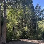 Jordan Pines Group Campground