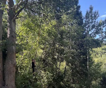 Jordan Pines Group Campground