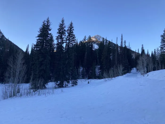 Jordan Pines Group Campground Picture 5