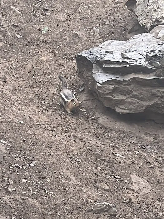 Jordan Pines Group Campground Picture 3