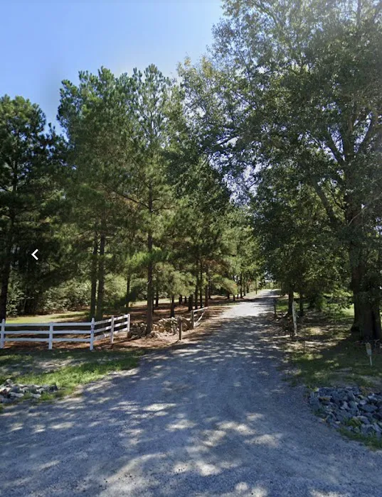 Z&J RV Sites Picture 1