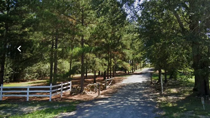 Z&J RV Sites Picture 2