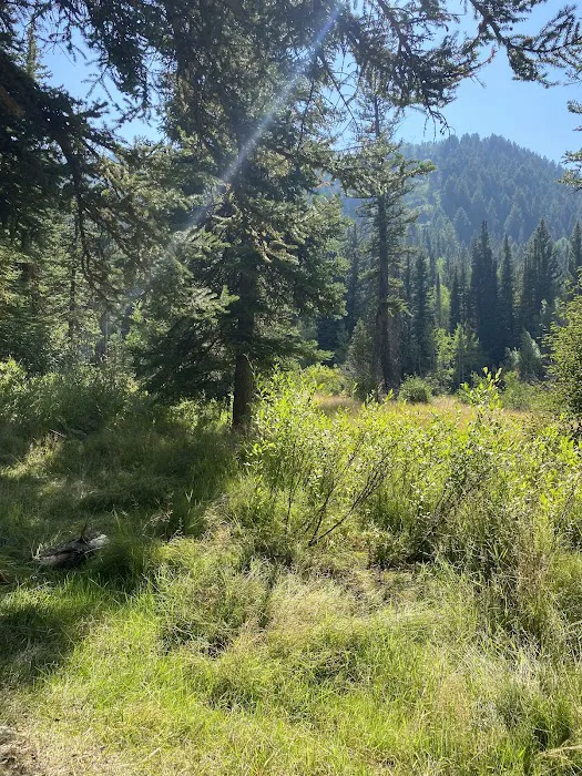 Spruces Campground Picture 4