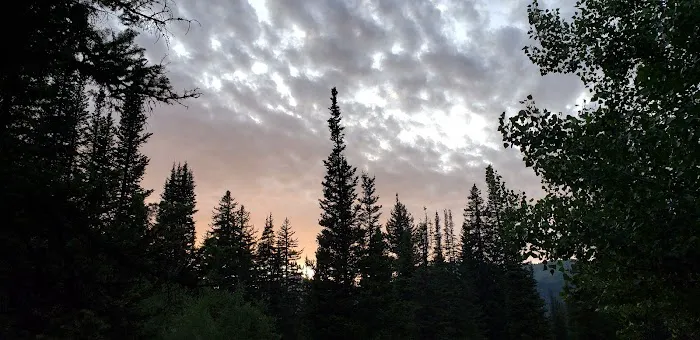 Spruces Campground Picture 2