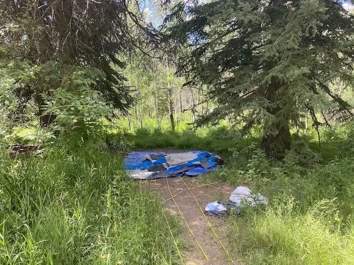 Spruces Campground Picture 1