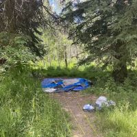Spruces Campground ico