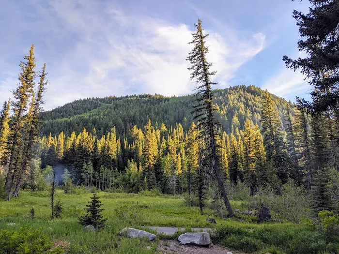 Spruces Campground Picture 6