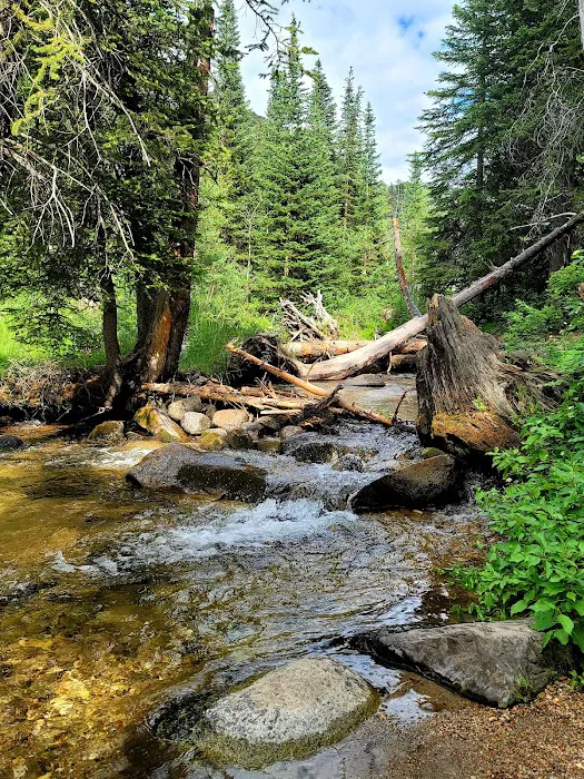 Spruces Campground Picture 5