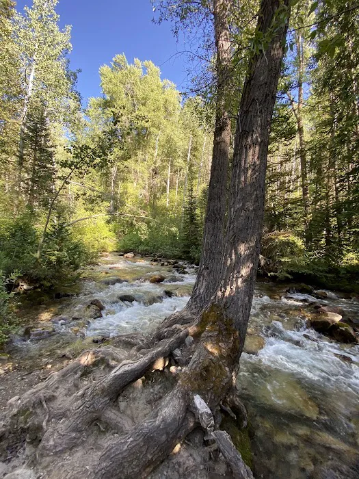 Tanners Flat Campground Picture 8