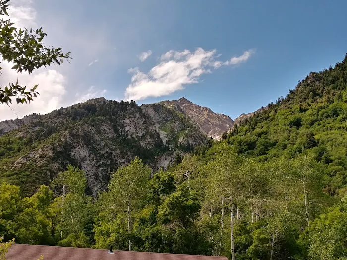 Tanners Flat Campground Picture 1