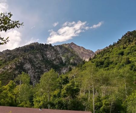 Tanners Flat Campground