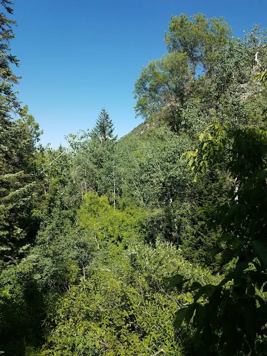 Tanners Flat Campground Picture 3