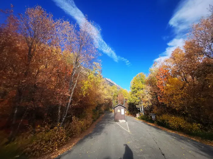 Tanners Flat Campground Picture 9