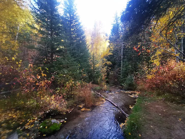 Tanners Flat Campground Picture 10