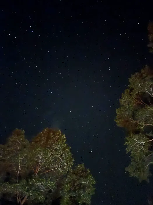 Riverside Campground Picture 6