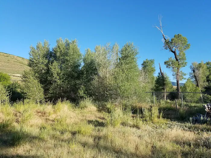 Riverside Campground Picture 2