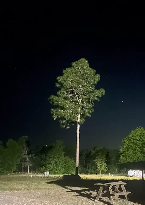 Curt's Campsites RV Park Picture 1