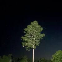 Curt's Campsites RV Park ico