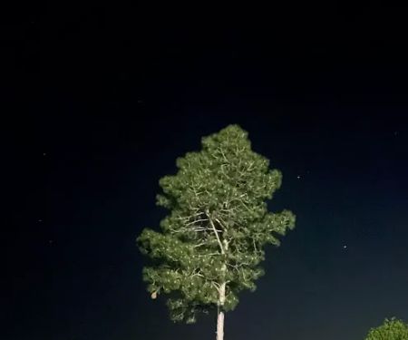 Curt's Campsites RV Park