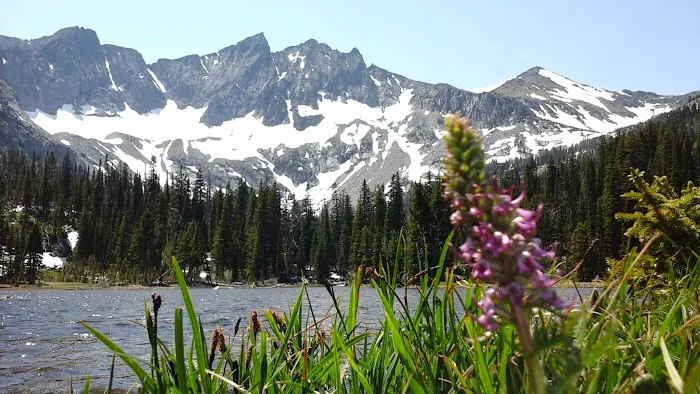 Halfmoon Campground Picture 6