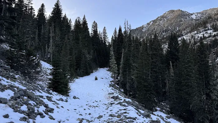 Halfmoon Campground Picture 3