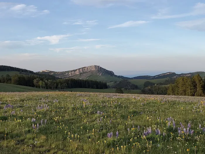 Sibley Lake Campground Picture 1
